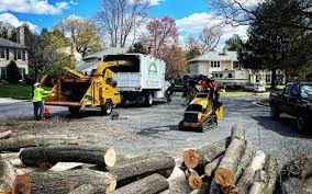 Landscape Design and Installation in Bronxville, NY
